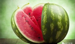 吃瓜网官网免费观看